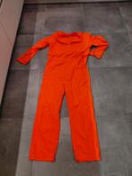Oranje Overall - Nieuw - Maat XXL, Ophalen of Verzenden, Nieuw, Maat 56/58 (XL), Oranje of Koningsdag