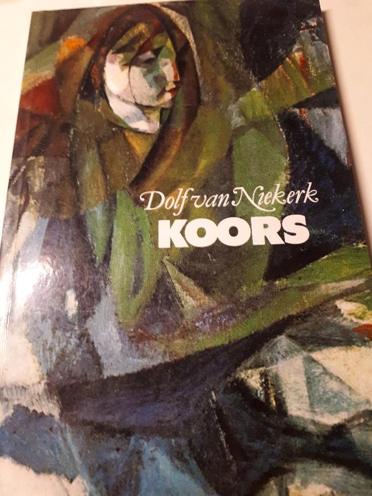 Koors - Dolf van Niekerk (in Afrikaans!), Boeken, Literatuur, Gelezen, Ophalen of Verzenden