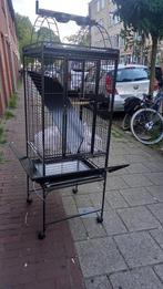 vogel kooi voor papegaai of parkieten, Dieren en Toebehoren, Ophalen, Zo goed als nieuw, Metaal, Vogelkooi