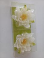 Nieuwe Drijfkaarzen - set van Twee Lelies, Overige materialen, Nieuw, Ophalen of Verzenden, Kaars