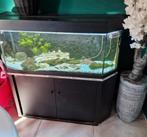 Juwel aquarium zwart panorama met bijbehorende kast, Dieren en Toebehoren, Ophalen, Zo goed als nieuw, Leeg aquarium