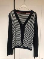 Expresso vest maat L nieuwstaat, Ophalen of Verzenden, Zo goed als nieuw, Maat 38/40 (M)