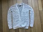 leuk vest maat 146/152, Meisje, Trui of Vest, Ophalen of Verzenden, Zo goed als nieuw