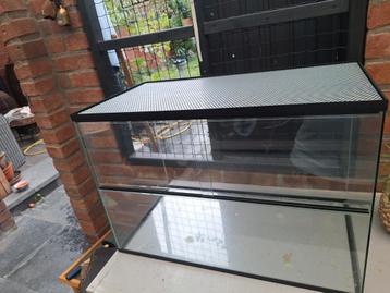 Terrarium voor hamster/ gerbils of reptielen.  beschikbaar voor biedingen