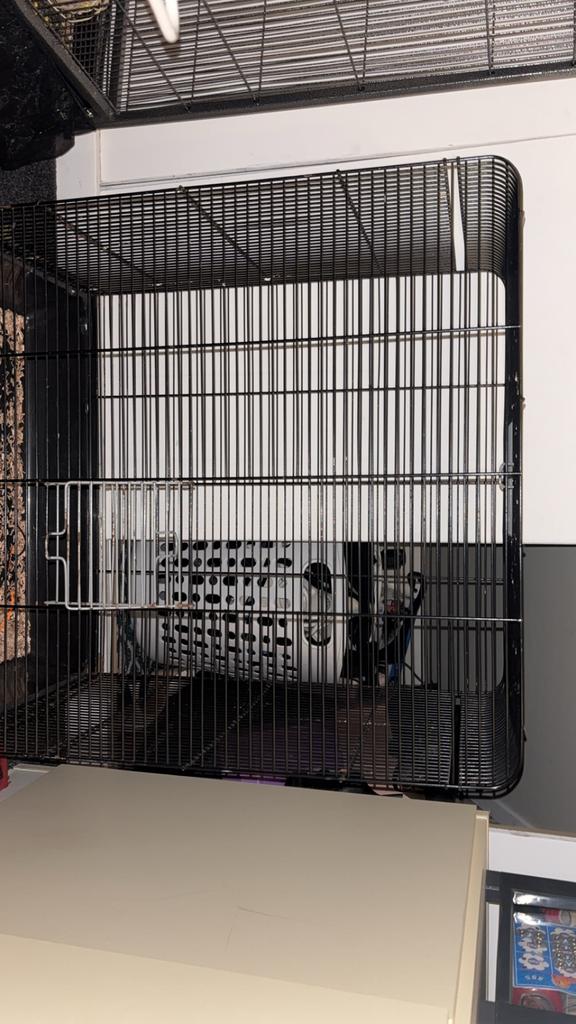 Dierenkooi, Dieren en Toebehoren, Vogels | Hokken en Kooien, Ophalen of Verzenden, Gebruikt, Metaal, Vogelkooi