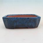 bonsaischaal 17x14x5cm, nieuw en ongebruikt, Ophalen of Verzenden, Volle zon, Overige soorten, Minder dan 100 cm