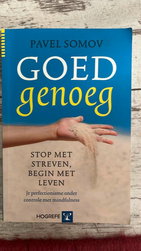 P. Somov - Goed genoeg, Boeken, Psychologie, Zo goed als nieuw, Ophalen of Verzenden
