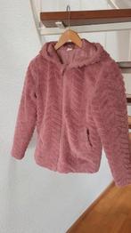 Teddy Jas mt.158, Kinderen en Baby's, Kinderkleding | Maat 158, Gebruikt, Meisje, Ophalen of Verzenden, Hema