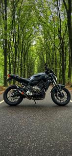 Yamaha MT07 A2, Motoren, Onderdelen | Yamaha, Ophalen