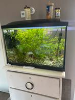 Aquarium, Dieren en Toebehoren, Ophalen, Zo goed als nieuw, Leeg aquarium