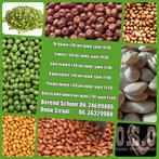 Verse peulvruchten prijs zie foto, Ophalen of Verzenden