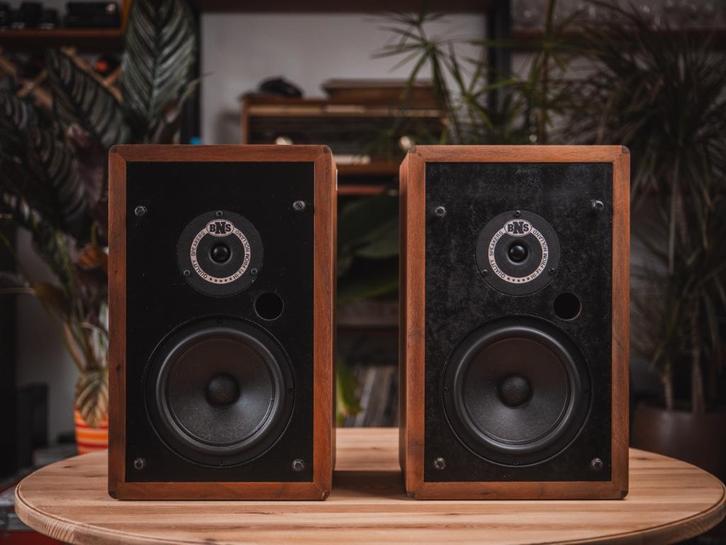 BNS | 234 Luidsprekers, Audio, Tv en Foto, Luidsprekers, Refurbished, Front, Rear of Stereo speakers, 60 tot 120 watt, Overige merken