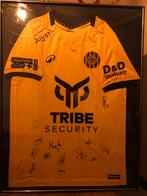 Gesigneerd Roda JC Voetbalshirt 2025/2026, Maat M, Ophalen of Verzenden, Nieuw, Shirt