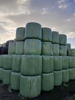 Mini ronde balen, Dieren en Toebehoren, Ophalen, Vee