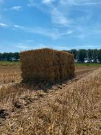 Tarwe stro kleine pakjes, Dieren en Toebehoren, Dierenvoeding, Ophalen, Vee