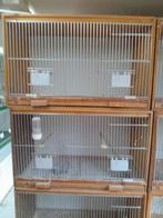 8 stuks broedkooien, Dieren en Toebehoren, Vogels | Hokken en Kooien, Ophalen, Gebruikt, Hout, Broedkooi of Kweekkooi