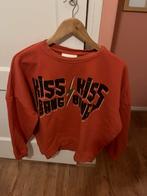 Trui colourful rebel maat xs, Kleding | Dames, Ophalen of Verzenden, Zo goed als nieuw, Maat 34 (XS) of kleiner