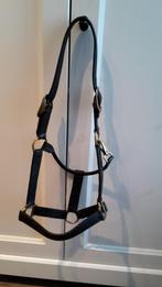 Leren halster, maat: Cob, Dieren en Toebehoren, Ophalen of Verzenden, Gebruikt, Overige soorten