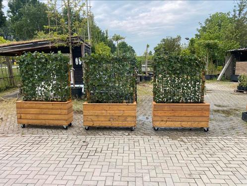 Plantenbakken op maat met kant en klaar hedera er in, Tuin en Terras, Bloembakken en Plantenbakken, Nieuw, Hout, Balkon, Tuin