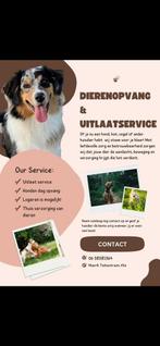 Dieren verzorgster, Komt aan huis, Oppas