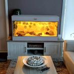 Terrarium RepHouSZ, Ophalen of Verzenden, Nieuw, Terrarium of Paludarium