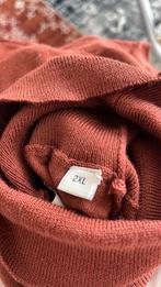 Coltrui, Kleding | Heren, Truien en Vesten, Ophalen of Verzenden, Zo goed als nieuw