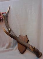 gewei van hert op eiken wandbord, lamp ( herstel projectje), Ophalen of Verzenden, Hert