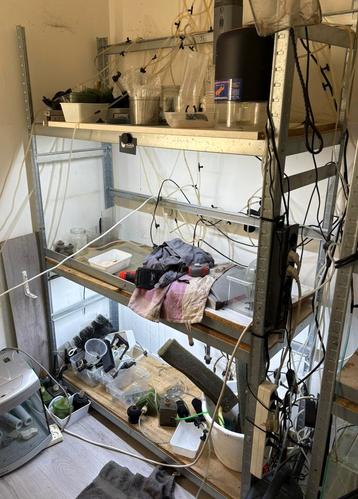 Lege (aquarium) stelling, extra verstevigd. 1.76x0.45x1.20 beschikbaar voor biedingen
