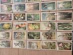 Verkade losse plaatjes, Boeken, Prentenboeken en Plaatjesalbums, Ophalen of Verzenden, Gelezen