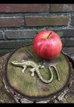 Salamander of hagedis v. Geel koper / messing, koperen beest, Antiek en Kunst, Ophalen of Verzenden