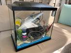 Superfish 50 Aquarium incl allerlei toebehoren, Dieren en Toebehoren, Vissen | Aquaria en Toebehoren, Ophalen, Gebruikt, Gevuld zoetwateraquarium