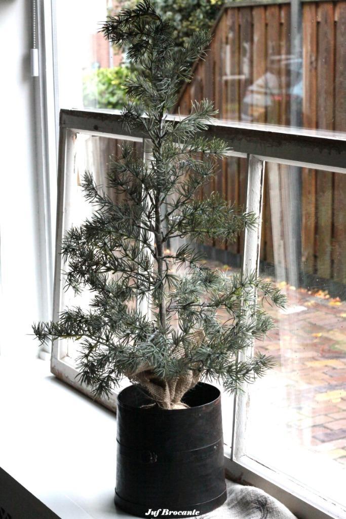 Vergrijsde ceder 90 cm in jute pot, Huis en Inrichting, Woonaccessoires | Overige, Nieuw, Ophalen of Verzenden