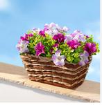 2 x Bloemenmand Petunia’s, bloemen van Textiel. Nieuw, Ophalen of Verzenden, Nieuw, Rechthoekig, Tuin
