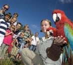 € 5,50 korting pp Vogelpark Avifauna in Alphen aan de Rijn, Drie personen of meer, Kortingskaart