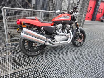 Harley Davidson XR 1200 beschikbaar voor biedingen