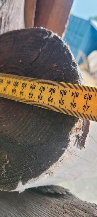 Te koop ronde grenen stam diameter 150-165 mm 3600 mm lang beschikbaar voor biedingen