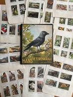 GEZOCHT: Heruitgave Verkade album Hans de Torenkraai, Boeken, Prentenboeken en Plaatjesalbums, Ophalen of Verzenden