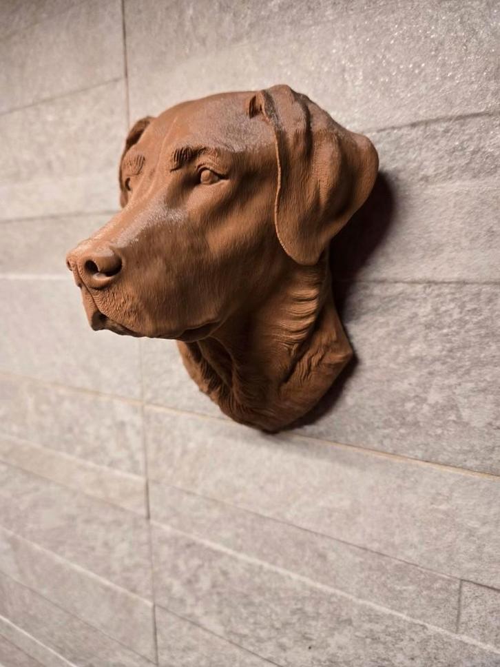 Unieke Labrador Wallbust – 3d geprint, Dieren en Toebehoren, Honden-accessoires, Nieuw, Ophalen