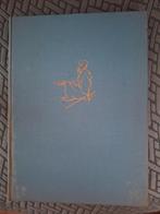 Spiegel van Staten en Steden - illustraties van Anton Pieck, Boeken, Kunst en Cultuur | Architectuur, Ophalen, Zo goed als nieuw