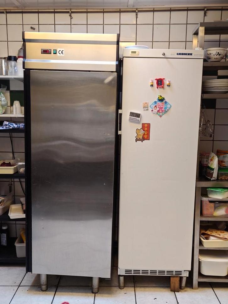 TeKoop koelkast en vriezer, Witgoed en Apparatuur, Koelkasten en IJskasten, Gebruikt, Zonder vriesvak, 200 liter of meer, 160 cm of meer