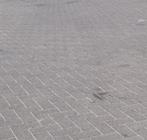 ROOIKORTING 2.500m2 grijs reliëf breccia tegels, tuin/oprit