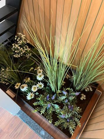 Planten bak (indoor garden, binnentuin) beschikbaar voor biedingen