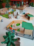 Berghut playmobil, Kinderen en Baby's, Speelgoed | Playmobil, Ophalen of Verzenden, Zo goed als nieuw