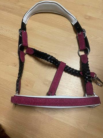 Laatste! Leren glitter halster fuchsia full beschikbaar voor biedingen