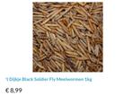 Black soldier fly meelwormen 10kg, Dieren en Toebehoren, Dierenvoeding, Ophalen of Verzenden, Vogel