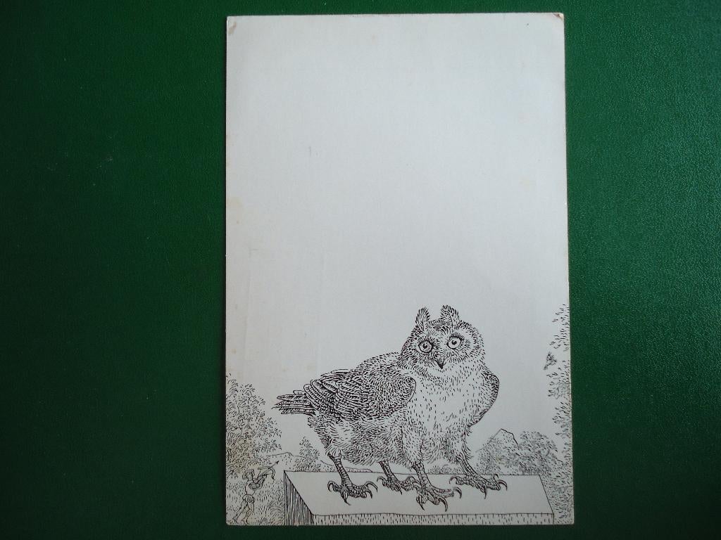 (1964) Dierenkaart: UIL, Verzamelen, Verzenden, 1980 tot heden, Gelopen, Vogel