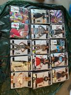 Carnavals kelding, Kleding | Dames, Ophalen of Verzenden, Zo goed als nieuw, Carnaval