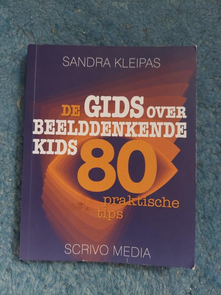 De Gids over Beelddenken Kids - Sandra Kleipas, Boeken, Advies, Hulp en Training, Zo goed als nieuw, Ophalen of Verzenden