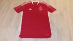 Ajax Training Shirt! Seizoen 21/22! Mt M en L! NIEUW!, Maat 52/54 (L), Nieuw, Ophalen of Verzenden, Voetbal