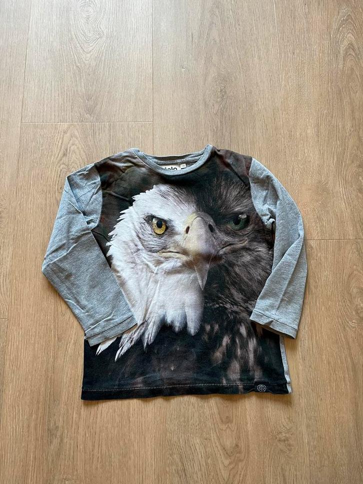 Longsleeve jongen molo vogel maat 110 zgan, Kinderen en Baby's, Kinderkleding | Maat 110, Zo goed als nieuw, Jongen, Shirt of Longsleeve